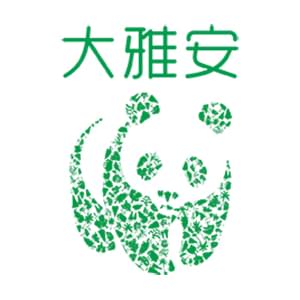 大雅安